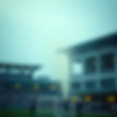 Magnificent 시스템베팅의 이해와 활용