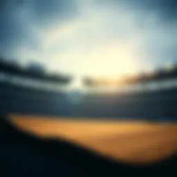 복권과 스포츠 베팅의 심층 분석 Introduction